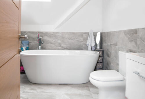 shutterstock_1036928521